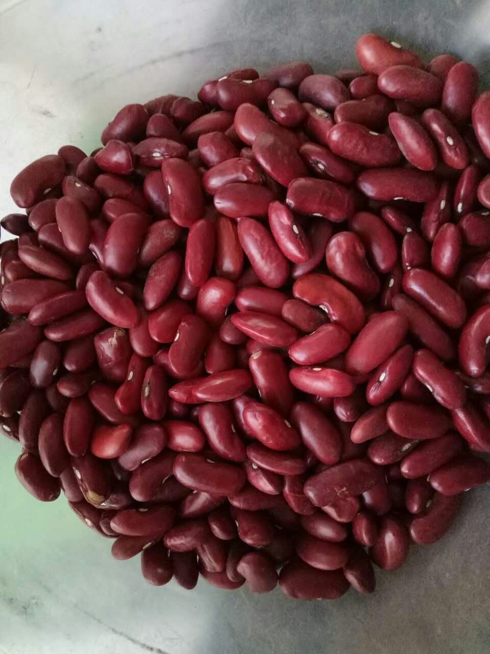 Export Chinese New Crop Good Quality Red Bean