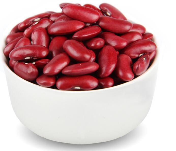 Bulk Quantity Light Purple Speckled Kidney Beans