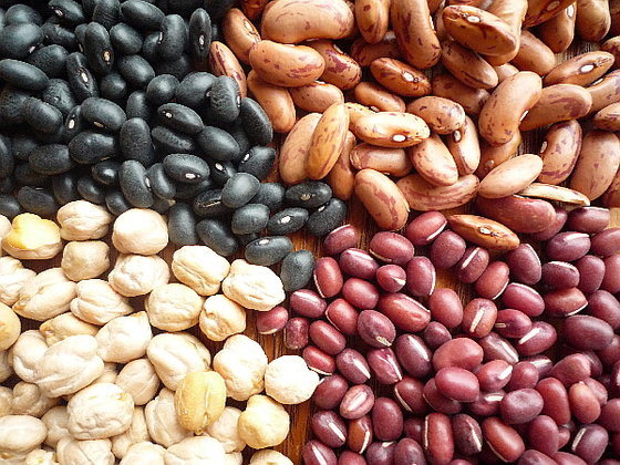 Bulk Quantity Light Purple Speckled Kidney Beans