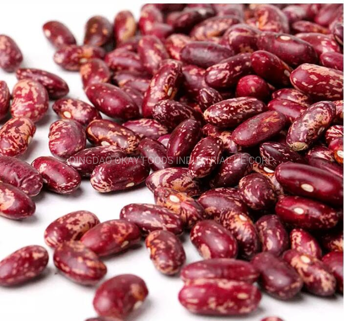 Bulk Quantity Light Purple Speckled Kidney Beans