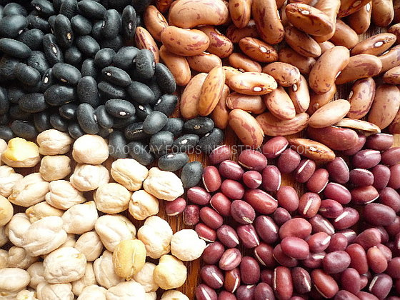 Bulk Quantity Light Purple Speckled Kidney Beans