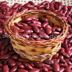 White Kidney Bean From Professional Supplier