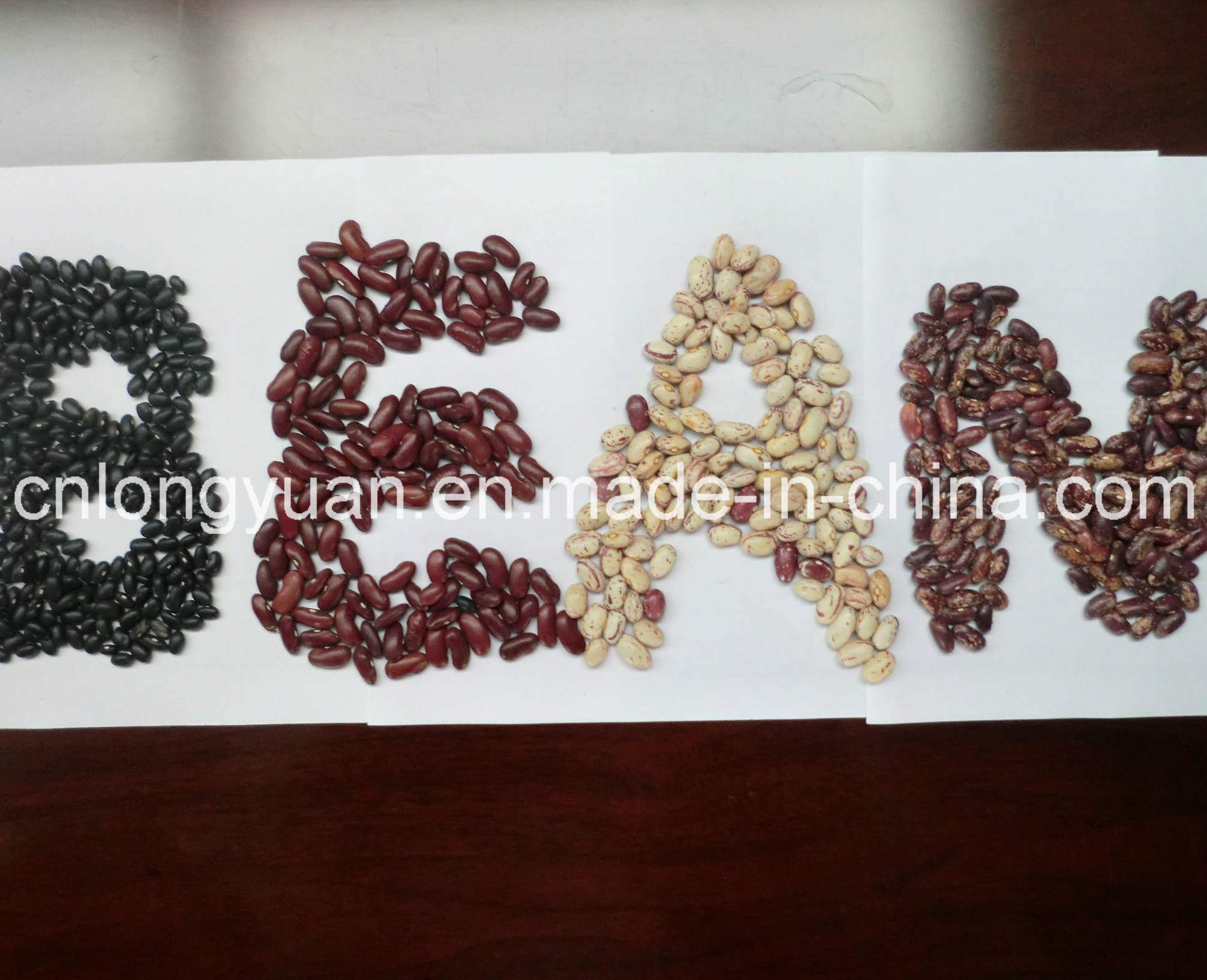 White Kidney Bean with Good Quality