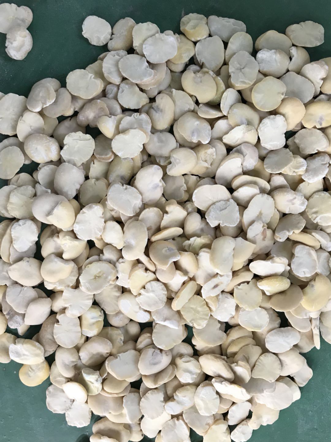 Crushed Broad Beans with Modern Machine at Customer Required Size