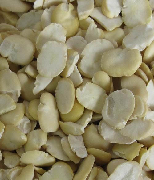 Fresh Green Faba Skybean Bakulla Bakla Broad Beans