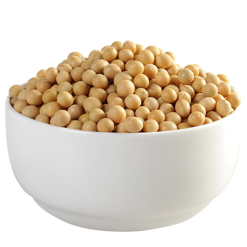 Bulk Dried Soybean in China with Cheap Price