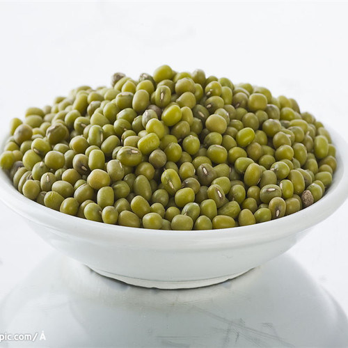 High Quality Dried Bean (red/yellow/green/white/black) in China
