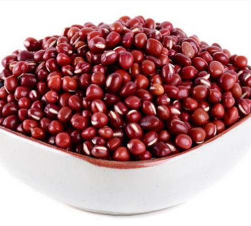 High Quality Dried Bean (red/yellow/green/white/black) in China