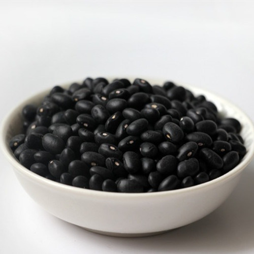 High Quality Dried Bean (red/yellow/green/white/black) in China