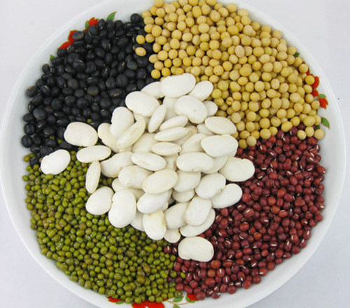 High Quality Dried Bean (red/yellow/green/white/black) in China