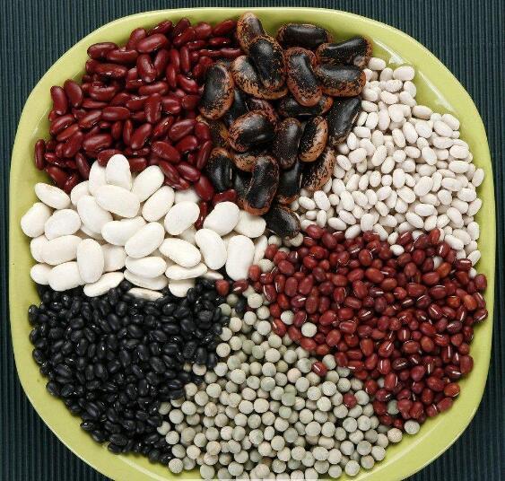High Quality Dried Bean From China