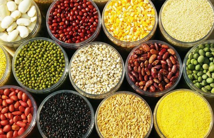 High Quality Dried Bean From China
