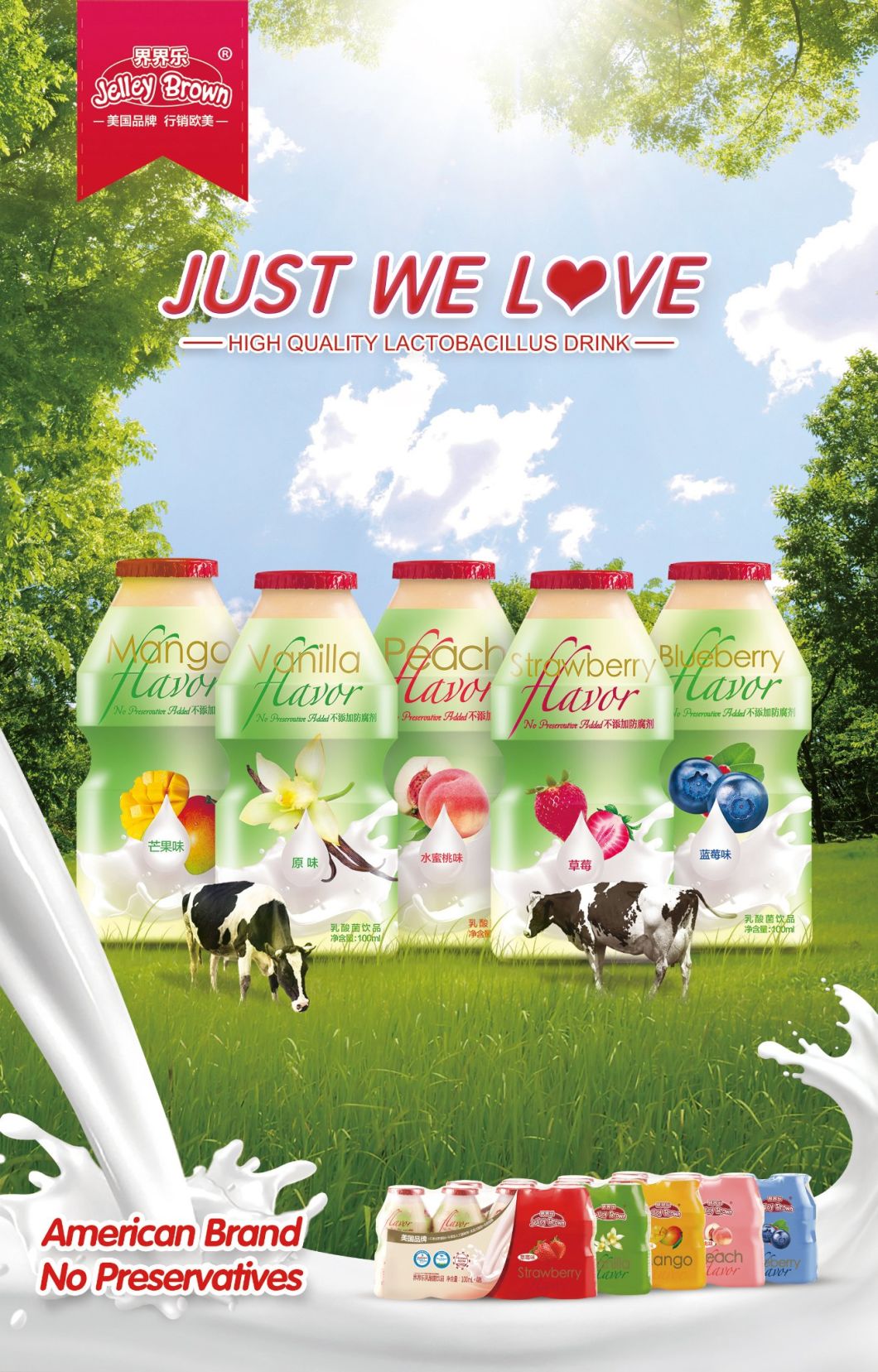 100ml Jelley Brown Brand New Zealand Milk Lactobacillus Yogurt Drink