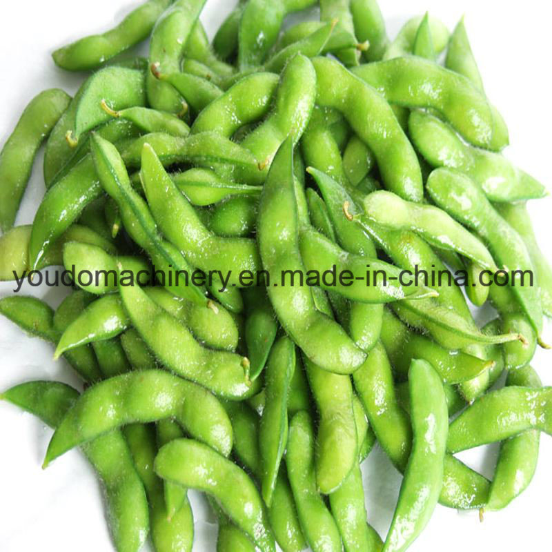 Udxmd-200 Most Popular Commercial Stainless Steel Green Soy Bean Shelling/Peeling Machine