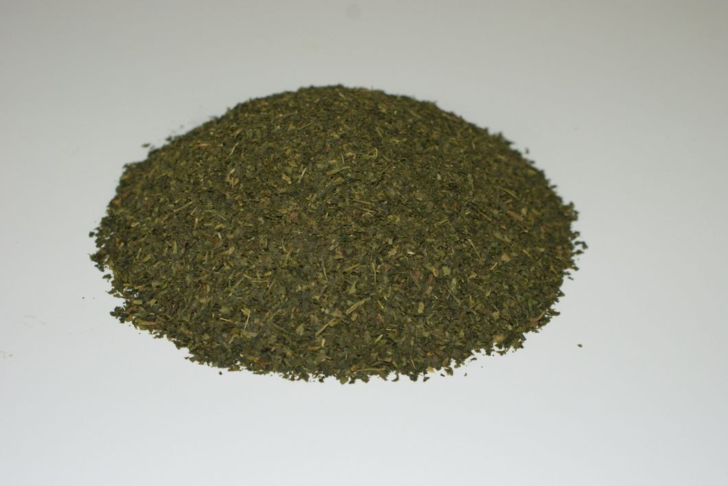 Ecuador Hot Sale Green Tea Fanning