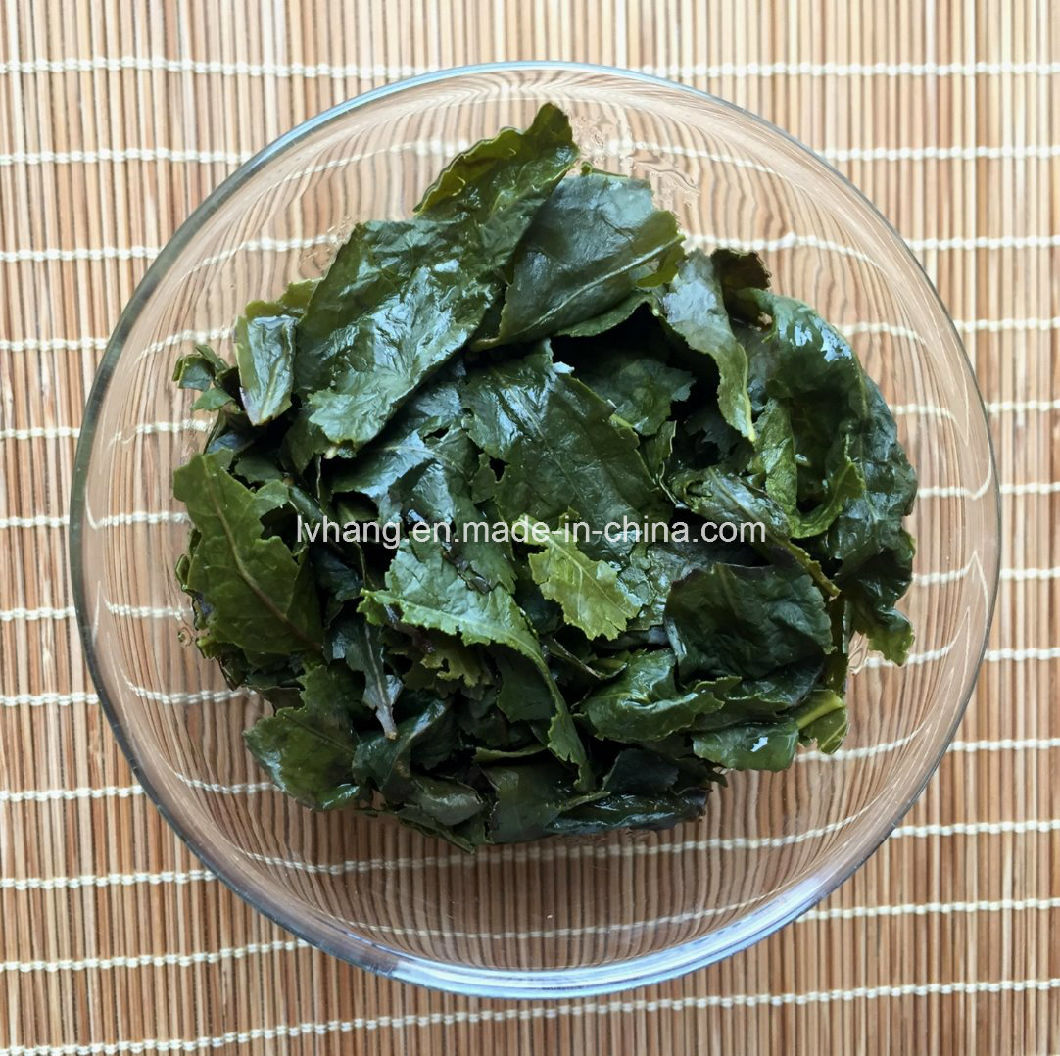 Tie Guan Yin Oolong Tea Third Grade