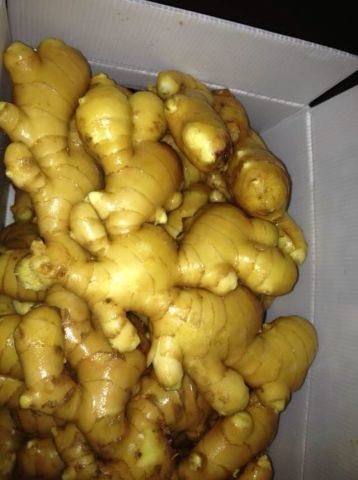 High Quality Export New Crop Air-Dried Ginger