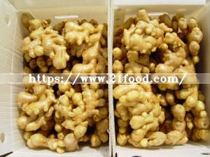 High Quality Export New Crop Air-Dried Ginger