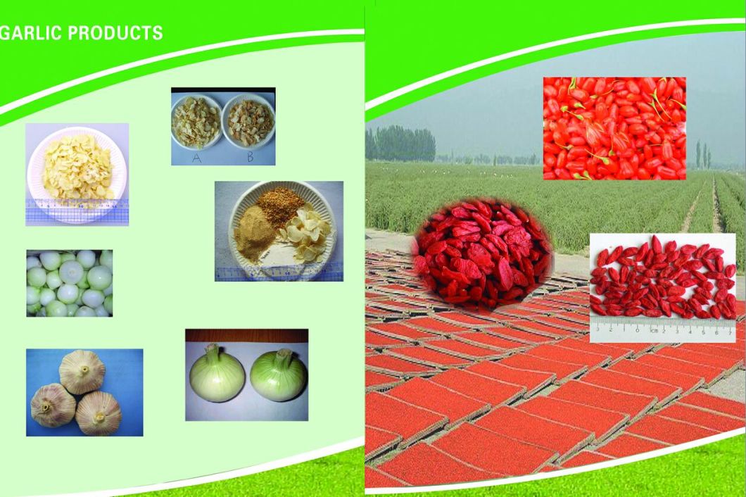 Lowest Price Dehydrated Garlic Granule, Grade a From Factory,