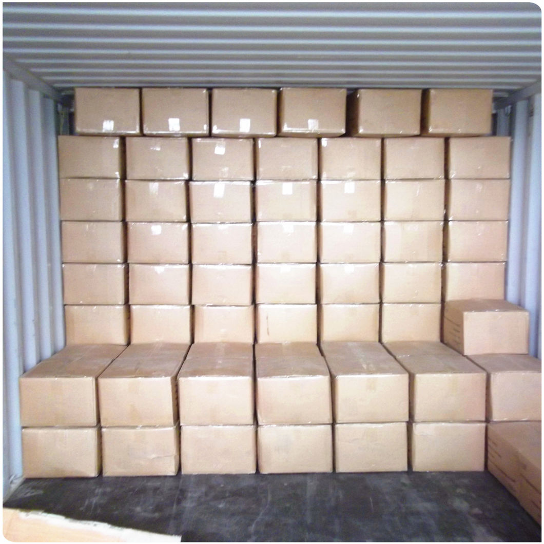 Lowest Price Dehydrated Garlic Granule, Grade a From Factory,
