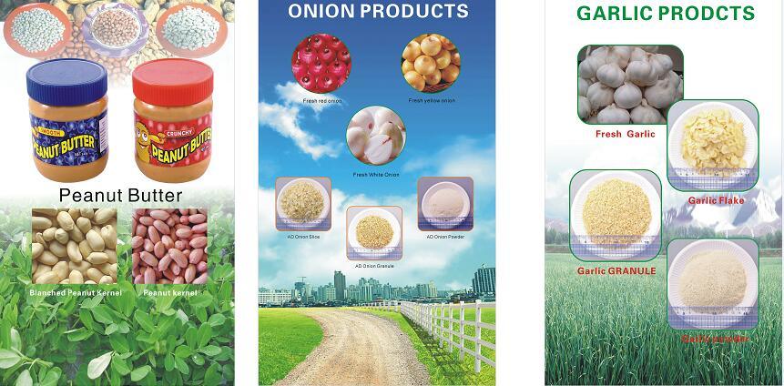 Wholesale Best Quality Exporter of Dehydrated Garlic Flake