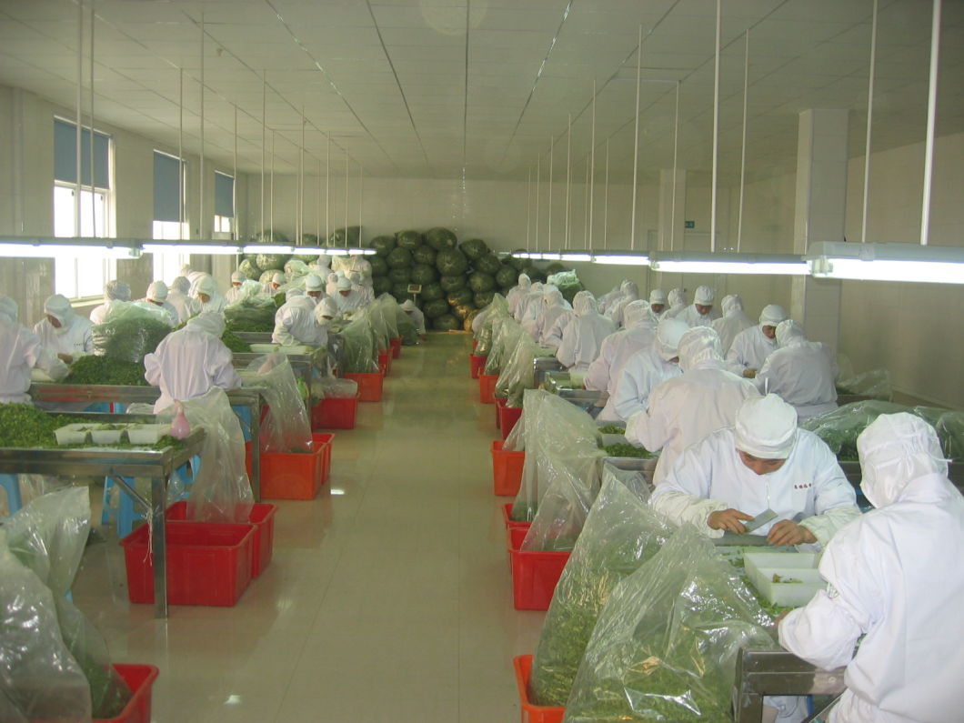 8-16 Mesh, 40-80 Mesh Natural Organic Onion Granule Prices