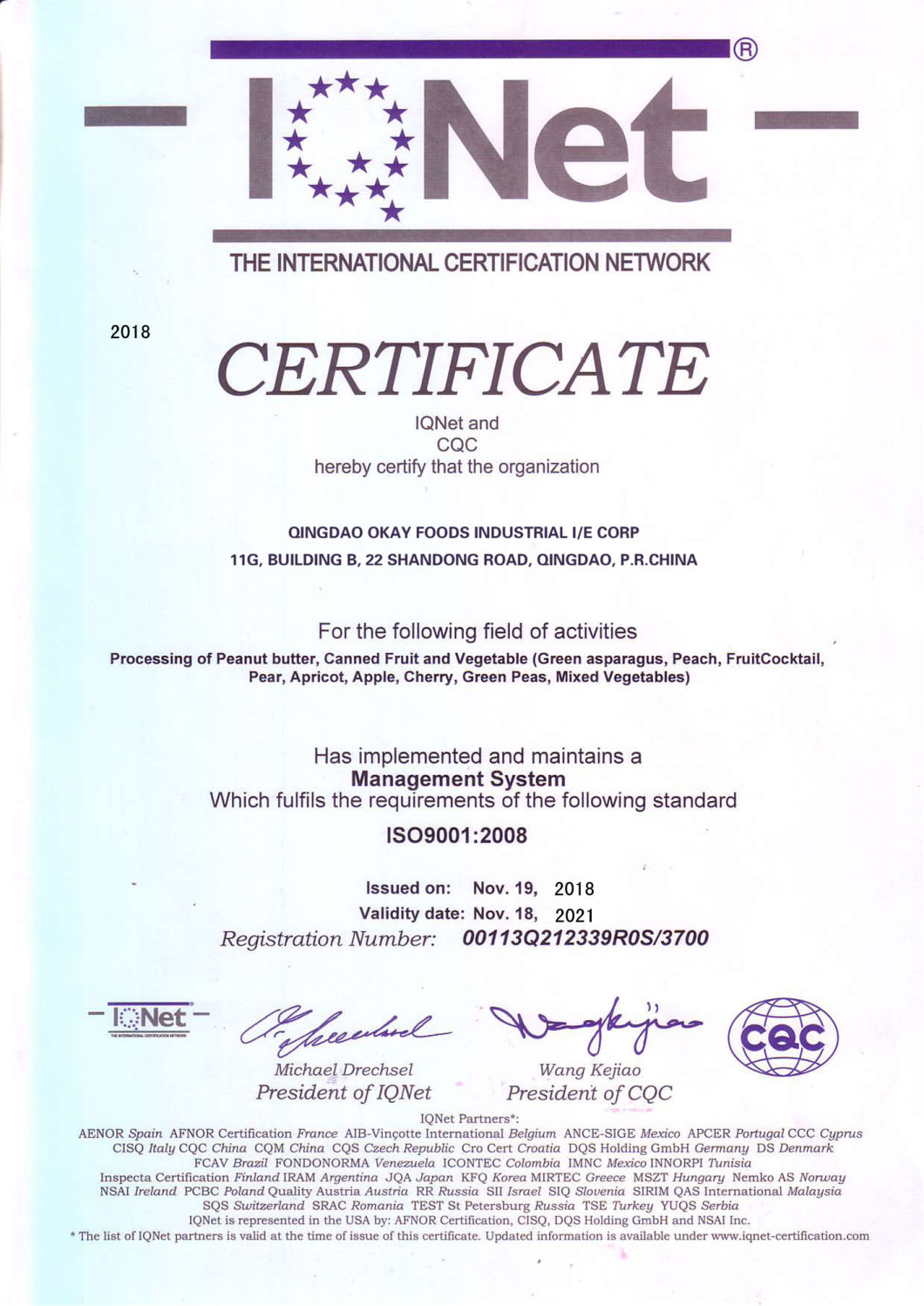 OEM ISO/Kosher/Brc/Organic Certified Factory Bulk Supply Garlic Granule