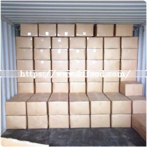 High Quality GMP Standard Garlic Granule