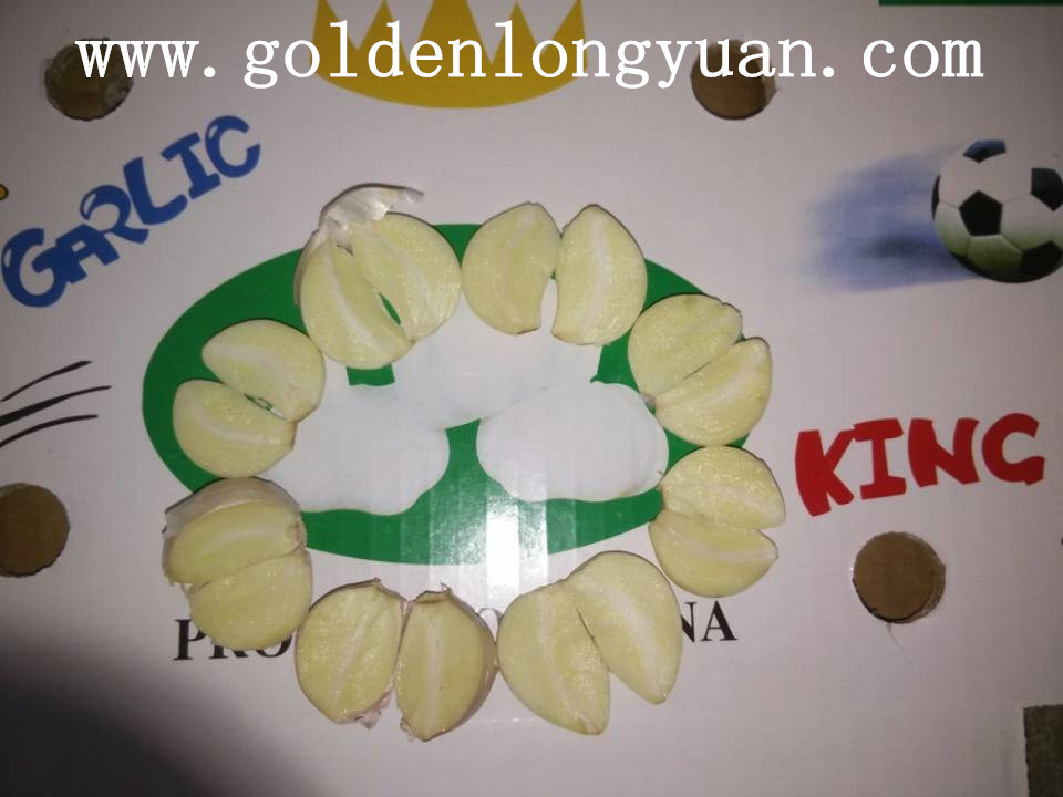 Good Quality From Factory Normal White Garlic