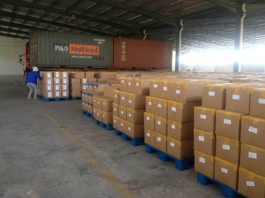 Grade a Dehydrated Garlic Powder at Direct Source