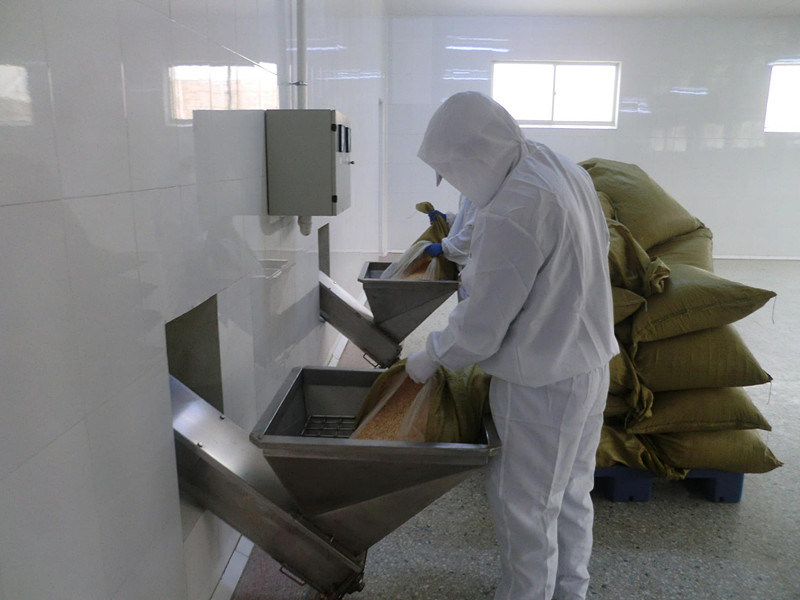 China New Crop Dehydrated Garlic Flakes