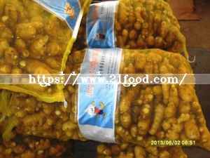 Fresh Ginger in Mesh Bag