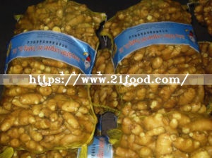 Chinese Fresh Ginger in Mesh Bag