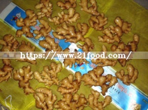 Chinese Fresh Ginger in Mesh Bag