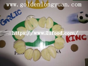 Good Quality From Factory Normal White Garlic