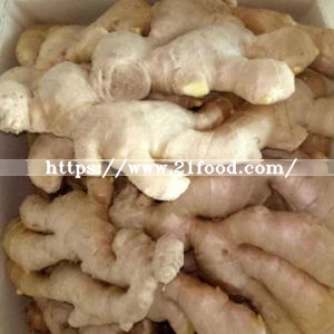 Top Full Air Dry Ginger