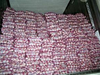 Chinese Fresh White Garlic (4.5-5.0-5.5-6.0cm)