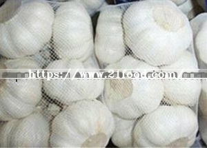 Chinese Fresh White Garlic (4.5-5.0-5.5-6.0cm)