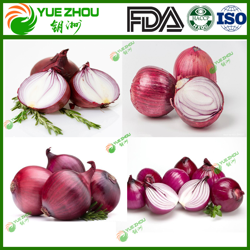 2019 Fresh Red Onion for Hot Sale with Chinese Price