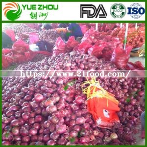 2019 Fresh Red Onion for Hot Sale with Chinese Price