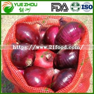2019 Fresh Red Onion for Hot Sale with Chinese Price
