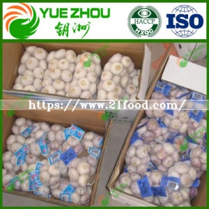 2019 4.5-6cm Fresh Garlic for Hot Sale with Cheaper Price