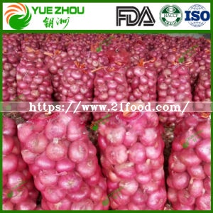 New Crop Fresh Red Onion with Chinese Price