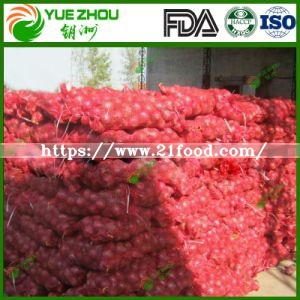 Round Cheap Fresh Red Onion with High Quality