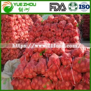 Wholesale Fresh Red Onion From Top Manufacturer