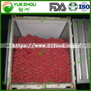 Wholesale Fresh Red Onion From Top Manufacturer