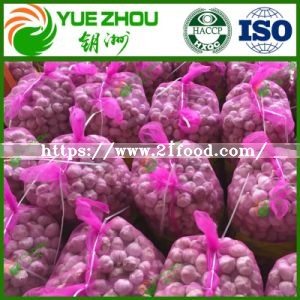 China White Best Fresh Normal Garlic Price for Sale