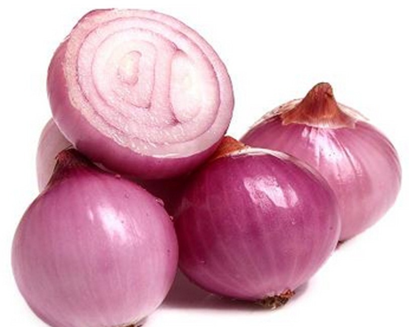 Factory Price Red Onion Specification Fresh