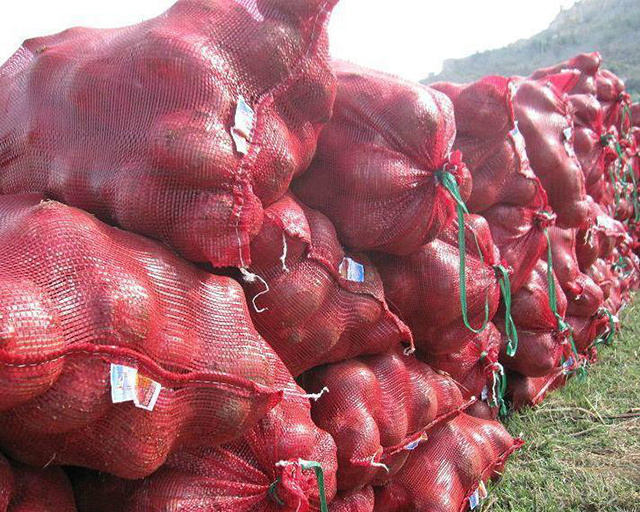 Factory Price Red Onion Specification Fresh
