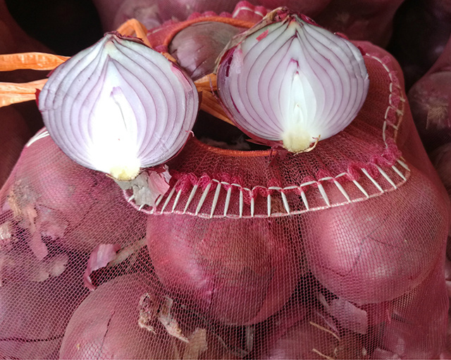 Factory Sale Red Cheap Onions